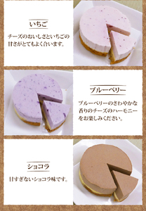 八ヶ岳チーズケーキセット