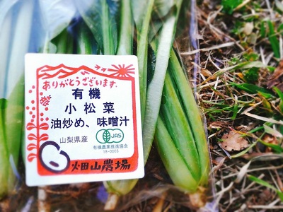 【有機ＪＡＳ認定】季節の有機野菜詰め合わせボックス　山梨県・北杜市