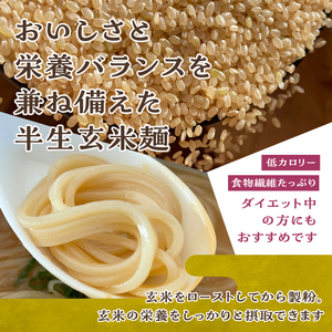 【米粉の玄米麺（麺のみ）】2食入×5袋　特別栽培『コシヒカリ』使用
