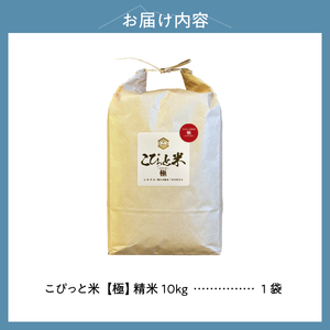 こぴっと米　栽培期間中 農薬不使用【極】10kg　大粒厳選米