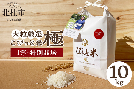 【令和7年度米】こぴっと米【極】10kg 大粒厳選・1等特別栽培米 100％ 米 精米 令和7年産 北杜市産 お米  八ヶ岳 [h020]