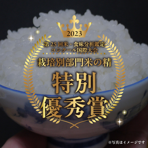 こぴっと米【農林48号】20kg　１等特別栽培米100％