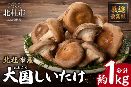 『大国しいたけ』菌床しいたけ　1kg 厳選 高級 椎茸 きのこ 肉厚 ジューシー 新鮮 山梨県産 北杜市産