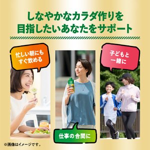 カゴメ 野菜生活100 Smoothie SOY PROTEIN バナナmix 330ml 48本入