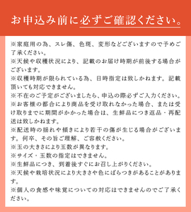 【2026年先行予約】【訳あり】秋映5kg(12個～16個） りんご 山梨県産 秋映 期間限定 家庭用 規格外 フルーツ 果物 果実 山梨 北杜市
