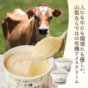 有機JAS認証ジャージーアイスクリーム　100ml×6個 アイスクリーム 有機アイスクリーム 有機JAS認証 有機ジャージー牛乳 生乳 100ml×6個 コラボ アイス 清泉寮 ジャージー牧場 茅ケ岳山麓 黒富士農場 海老屋 有機 アイス スイーツ デザート 山梨県 北杜市産