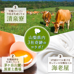 有機JAS認証ジャージーアイスクリーム　100ml×6個 アイスクリーム 有機アイスクリーム 有機JAS認証 有機ジャージー牛乳 生乳 100ml×6個 コラボ アイス 清泉寮 ジャージー牧場 茅ケ岳山麓 黒富士農場 海老屋 有機 アイス スイーツ デザート 山梨県 北杜市産