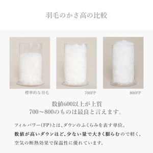 630FPダウンピロー（フランス産ホワイトダックダウン使用）