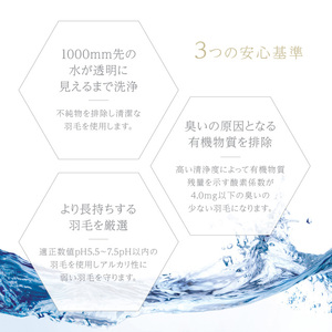 630FPダウンピロー（フランス産ホワイトダックダウン使用）