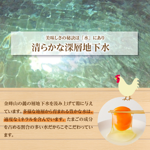 3年連続知事賞（金賞）の明野たまご　30個入