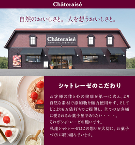 【シャトレーゼ】バニラ＆チョコアイスバラエティセット  アイス バニラアイス チョコアイス バニラ チョコ 食べ比べ チョコバッキー CHATERAISE PREMIUM ふっくらシューアイス ショコラソフト クッキー&クランチバー シャトレーゼ バラエティセット 詰め合わせ セット デザート おやつ 山梨県 北杜市