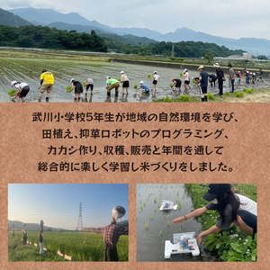 【令和6年度米】武川小学校5年生と作った よんぱち米（農林48号）5kg 米 令和6年度米 白米 武川小学校5年生と作った よんぱち米 5kg 農林48号 無農薬 有機肥料 幻の米 希少 数量限定 山梨県 北杜市 武川町 ブルーゲート