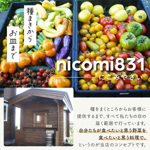 おまかせ季節のスープとカレー12個セット スープ カレー 組み合わせ おまかせ 12個 セット 各180g 無農薬 野菜 コーン カボチャ サツマイモ ジャガイモ ズッキーニ サトイモ キノコ パプリカ カブ タマネギ ナス トマト 味噌 食品添加物不使用 化学調味料不使用 詰め合わせ 北杜市