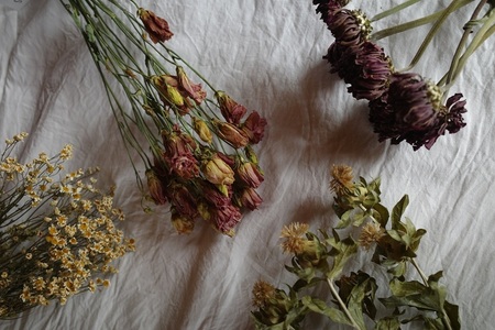 花農家直送！ドライフラワー アソートSセット ドライフラワー アソート セット  35本 3～5種 花 花束 農家直送 期間限定 装飾 飾り インテリア アレンジメント ギフト 贈り物