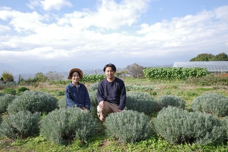 花農家直送！ドライフラワー アソートSセット ドライフラワー アソート セット  35本 3～5種 花 花束 農家直送 期間限定 装飾 飾り インテリア アレンジメント ギフト 贈り物