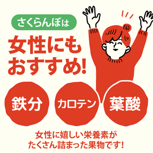 【2026年先行予約】山梨県北杜市産　旬の採れたてさくらんぼ　約500g さくらんぼ 高砂 佐藤錦 紅秀峰 約500g 期間限定 数量限定 採れたて大粒 大玉 果物 くだもの 夏果実 サクランボ チェリー 高級 鉄分 山梨県 北杜市産