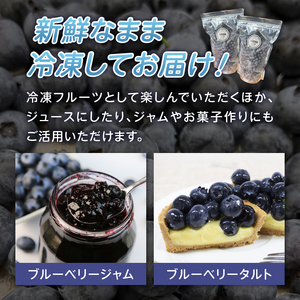 【大粒】山梨県産（明野産）冷凍　ブルーベリー1,000g　無農薬 期間限定 数量限定 フルーツ くだもの 冷凍フルーツ 新鮮 ジュース ジャム お菓子 山梨県 北杜市 明野町