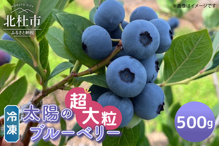 【超大粒】山梨県産（明野産）冷凍　ブルーベリー500g　無農薬 期間限定 数量限定 フルーツ くだもの 冷凍 フルーツ 新鮮 ジュース ジャム お菓子 山梨県 北杜市 明野町