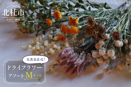 花農家直送！ドライフラワー アソートMセット ドライフラワー アソート 60本 5～7種 花 花束 農家直送 期間限定 装飾 飾り インテリア アレンジメント ギフト 贈り物