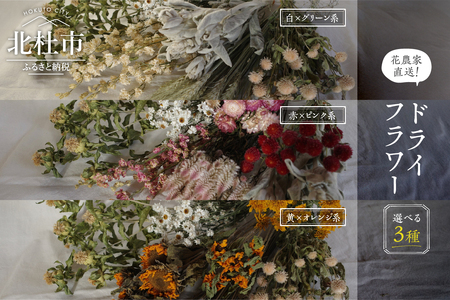 花農家直送！ドライフラワー選べる3種厳選セット ドライフラワー 選べる 3種 セット 白×グリーン系 赤×ピンク系 黄×オレンジ系 花農家直送 60本前後 長さ35cm～45cm 厳選 期間限定 新鮮 インテリア 鮮やか 飾り ギフト 贈り物 プレゼント solis mons 
