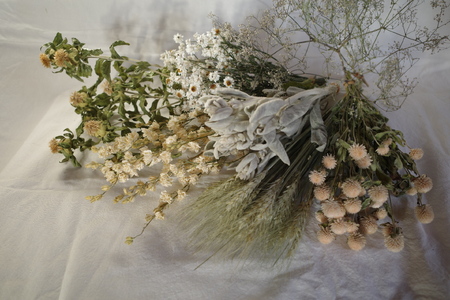 花農家直送！ドライフラワー選べる3種厳選セット ドライフラワー 選べる 3種 セット 白×グリーン系 赤×ピンク系 黄×オレンジ系 花農家直送 60本前後 長さ35cm～45cm 厳選 期間限定 新鮮 インテリア 鮮やか 飾り ギフト 贈り物 プレゼント solis mons 