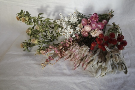 花農家直送！ドライフラワー選べる3種厳選セット ドライフラワー 選べる 3種 セット 白×グリーン系 赤×ピンク系 黄×オレンジ系 花農家直送 60本前後 長さ35cm～45cm 厳選 期間限定 新鮮 インテリア 鮮やか 飾り ギフト 贈り物 プレゼント solis mons 