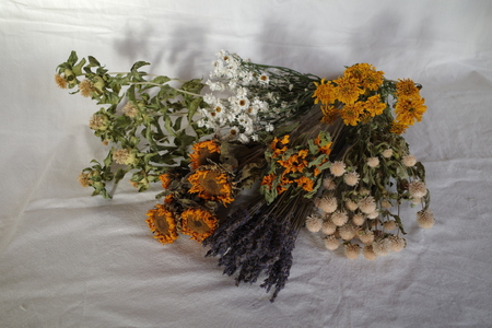 花農家直送！ドライフラワー選べる3種厳選セット ドライフラワー 選べる 3種 セット 白×グリーン系 赤×ピンク系 黄×オレンジ系 花農家直送 60本前後 長さ35cm～45cm 厳選 期間限定 新鮮 インテリア 鮮やか 飾り ギフト 贈り物 プレゼント solis mons 