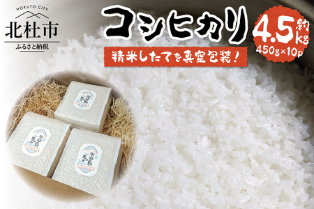 コシヒカリ3合 真空パック10個セット 米 コシヒカリ 真空パック 3合 約450g 10個 農薬不使用 化学肥料不使用 長期保管 真空包装 備蓄 山梨県 北杜市