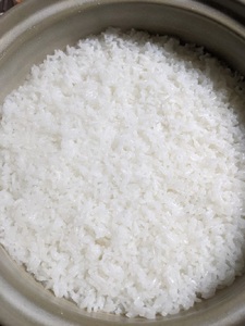 コシヒカリ3合 真空パック10個セット 米 コシヒカリ 真空パック 3合 約450g 10個 農薬不使用 化学肥料不使用 長期保管 真空包装 備蓄 山梨県 北杜市