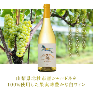 淡路結 シャルドネ 2023 1本 ワイン 白ワイン 淡路結 シャルドネ 2023 750ml1本 白 国産ワイン 山梨県産 北杜市産 白州圃場 柑橘フルーツ アカシア 蜂蜜 ブドウ 記念日 贈り物 プレゼント
