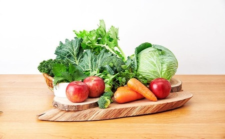 森永製菓 おいしい青汁 125ml 12本 セット 機能性表示食品 青汁飲料 飲みやすい 食物繊維 森永製菓 おいしい青汁 125ml 紙パック 12本 青汁 飲みやすい 食物繊維 野菜不足 機能性表示食品 飲料 山梨県 北杜市