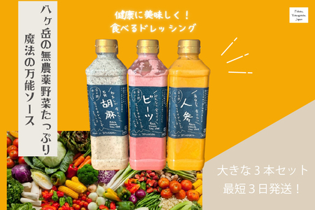フェリチタドレッシング　ラージ3本セット ドレッシング 540ml 3本 セット 手づくり 有機野菜 調味料 人参 ビーツ 胡麻 万能 フェリチタ サラダ 万能調味料 化学調味料不使用 保存料不使用 無着色 無添加 北杜市