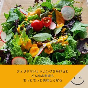 フェリチタドレッシング　ラージ3本セット ドレッシング 540ml 3本 セット 手づくり 有機野菜 調味料 人参 ビーツ 胡麻 万能 フェリチタ サラダ 万能調味料 化学調味料不使用 保存料不使用 無着色 無添加 北杜市