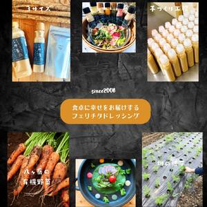 フェリチタドレッシング　ラージ3本セット ドレッシング 540ml 3本 セット 手づくり 有機野菜 調味料 人参 ビーツ 胡麻 万能 フェリチタ サラダ 万能調味料 化学調味料不使用 保存料不使用 無着色 無添加 北杜市