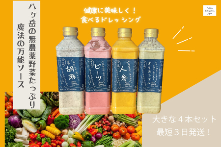 フェリチタドレッシング　ラージ4本セット ドレッシング 540ml 4本 セット 手づくり 有機野菜 調味料 人参 ビーツ 胡麻 オリエンタル 万能 フェリチタ サラダ 万能調味料 化学調味料不使用 保存料不使用 無着色 無添加 北杜市