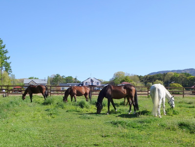 ホースリトリート八ヶ岳　宿泊クーポン 3,000円分 宿泊 クーポン券 宿泊券 養老牧場 体験 自然 山梨県 北杜市 八ヶ岳
