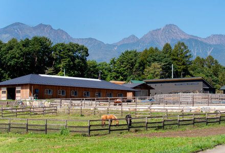 ホースリトリート八ヶ岳　宿泊クーポン 30,000円分 宿泊 クーポン券 宿泊券 養老牧場 体験 自然 山梨県 北杜市 八ヶ岳