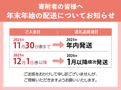 荒挽きウインナーセット(2種類約60本入り)ソーセージ 詰合せ バーベキュー キャンプ パーティー 手作り フランク 食べ比べ オールポーク 豚肉100% 天然腸 山梨県 白州 北杜市