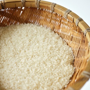 【令和7年度新米】【令和7年度米】白州産コシヒカリ　特別栽培米　5キロ  おこめ コシヒカリ 山梨県産 もっちり おにぎり お弁当