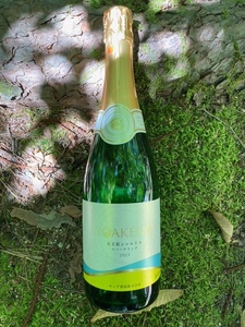 明野のワイン いろいろ 4本セット 受賞作品込 ワイン セット 白ワイン ロゼ 赤ワイン 4種類 シャンクレール モンデ酒造 御勅使川ワイナリー 720ml 750ml お酒 アルコール 母の日 父の日 明野 ブドウ