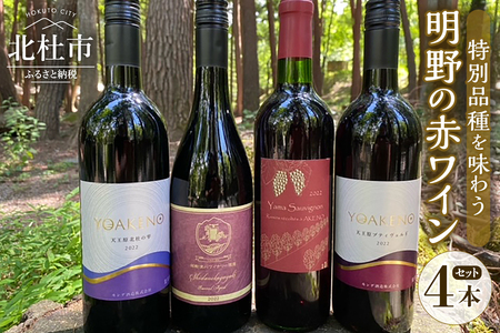 明野の赤ワイン特別品種を味わう 4本セット シャンクレール 御勅使川ワイナリー モンデ酒造 720ml 750mlお酒 アルコール 母の日 父の日 北杜 ブドウ  [h062]