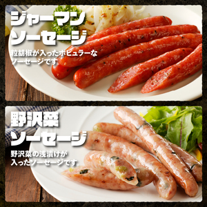 〈2025年12月配送〉ウインナー・ソーセージ 業務用詰合せセット　 総重量約3kg 7種類 人気 大容量 業務用 シポラタ ジャーマン チョリソー バーベキュー フランク 食べ比べ オールポーク 山梨県 白州 北杜市 