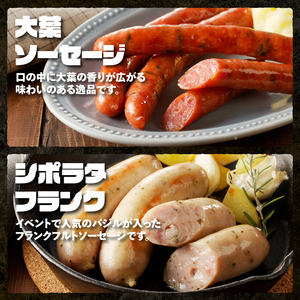 〈2025年12月配送〉ウインナー・ソーセージ 業務用詰合せセット　 総重量約1.2kg 33本 7種類 人気 大容量 業務用 シポラタ ジャーマン チョリソー バーベキュー フランク 食べ比べ オールポーク 山梨県 白州 北杜市