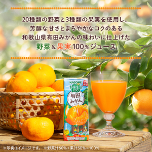 カゴメ 野菜生活100 有田みかんミックス 195ml 紙パック 96本入 季節限定 野菜 フルーツ mix 砂糖・甘味料不使用 ビタミンC 健康志向 飲料 健康食品 仕送りギフト