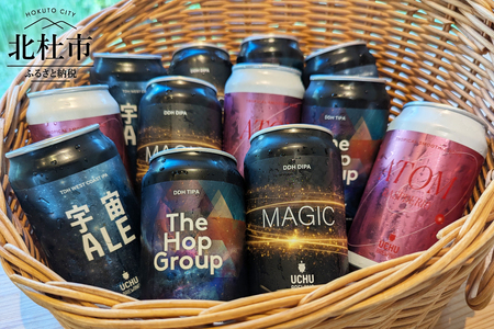 うちゅうブルーイング クラフトビール 12本セット 350ml 宇宙ビール うちゅうビール 飲み比べ 八ヶ岳 せんのや