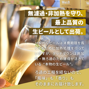 【6ヶ月連続お届け】「八ヶ岳ビール タッチダウン」定番＆季節ビール 330ml×24本×6回