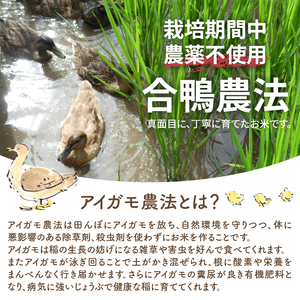 【令和6年度新米先行予約】【令和6年度米】合鴨農法米 白米 幻の米 農林48号2kg×2