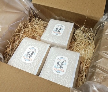 白州米コシヒカリ3合 無洗米真空パック20個セット  米 期間限定 約450g 栽培期間中 農薬不使用 化学肥料不使用 精米したて 真空包装 長期保管 備蓄 防災 キャンプ 山梨 北杜市