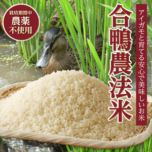 【令和7年度新米】山梨・北杜 米物語(12品種白米アソートセット) 米 12品種 白米 アソートセット 安心 安全 農薬不使用 化学肥料不使用 山梨県 北杜市