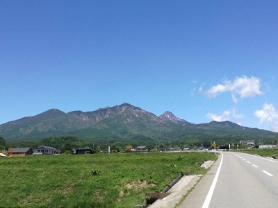 果実と粗糖のみでつくったブルーベリー飲む酢　200ml×3本 ４倍濃縮 ビネガー 果実酢 フルーツ 酢 ドリンク 濃縮 ハイブッシュブルーベリー 熟成 まろやか 果実丸ごと ドレッシング 隠し味 添加物不使用 化学調味料無添加 合成保存料 着色料 香料 不使用 ギフト 山梨県 北杜市